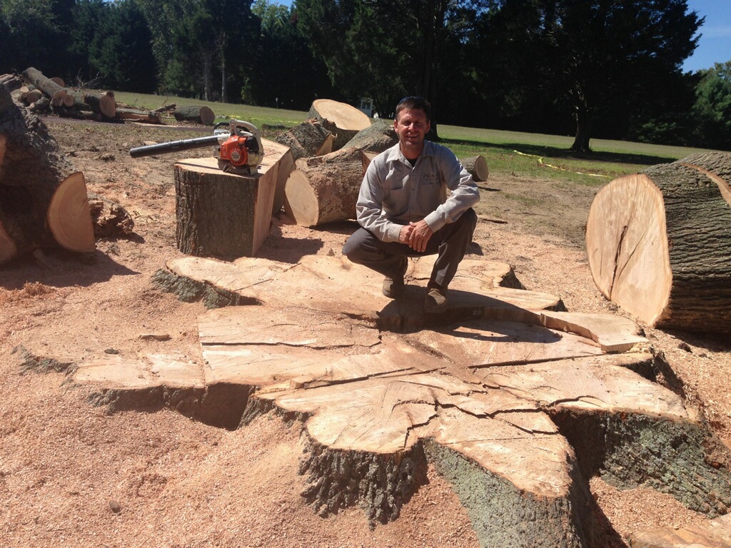 Tyson's Tree Service